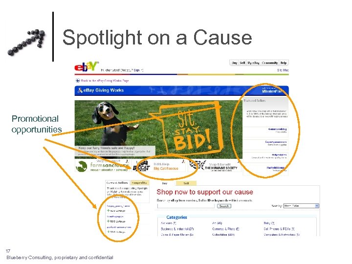 Spotlight on a Cause Promotional opportunities 17 Blueberry Consulting, proprietary and confidential 