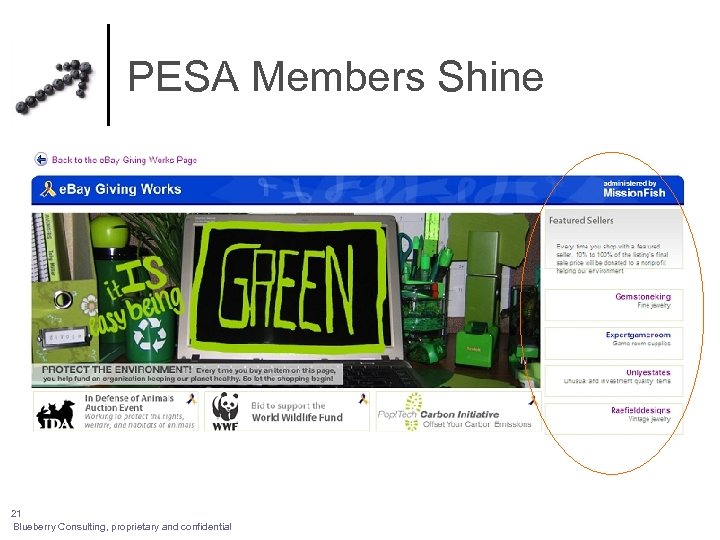 PESA Members Shine 21 Blueberry Consulting, proprietary and confidential 
