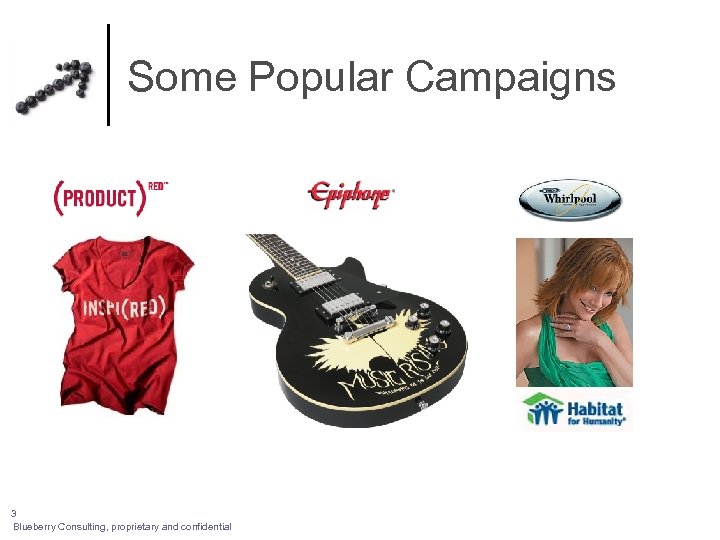 Some Popular Campaigns 3 Blueberry Consulting, proprietary and confidential 