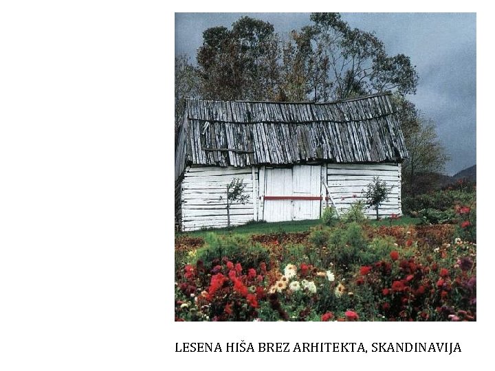 LESENA HIŠA BREZ ARHITEKTA, SKANDINAVIJA 