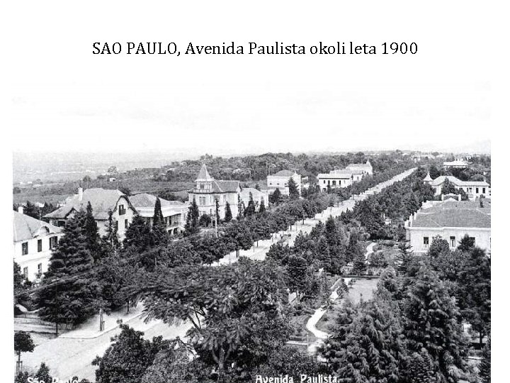SAO PAULO, Avenida Paulista okoli leta 1900 