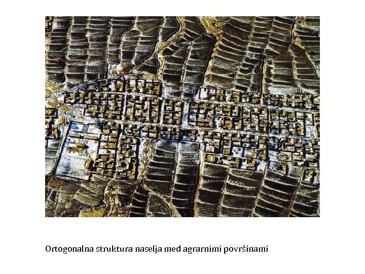 Ortogonalna struktura naselja med agrarnimi površinami 