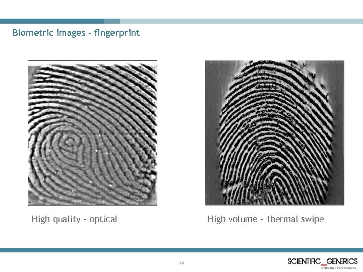 Biometric images - fingerprint High volume - thermal swipe High quality - optical 14