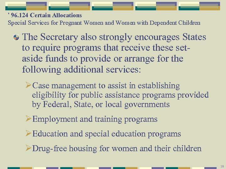 ' 96. 124 Certain Allocations Special Services for Pregnant Women and Women with Dependent