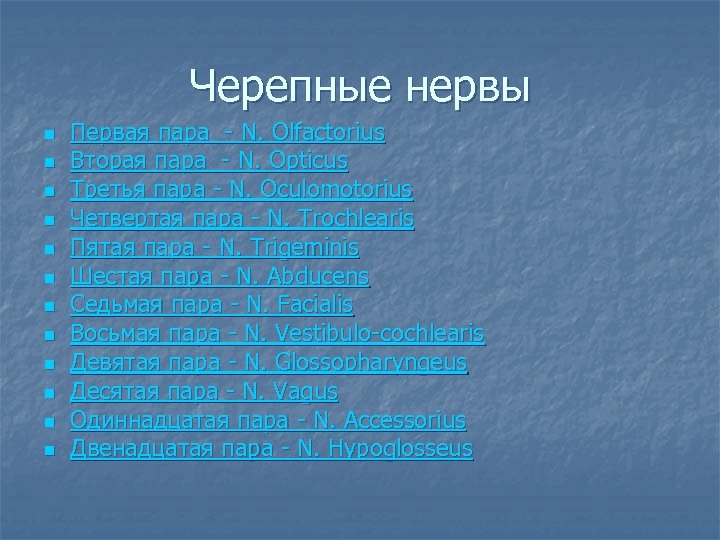 Черепные нервы n n n Первая пара - N. Olfactorius Вторая пара - N.
