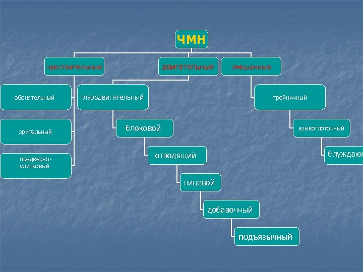 ЧМН двигательные чувствительные обонятельный зрительный предверноулитковый смешанные глазодвигательный тройничный блоковой языкоглоточный блуждающ отводящий лицевой