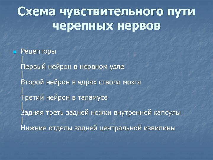 Схема чувствительного пути черепных нервов n Рецепторы | Первый нейрон в нервном узле |