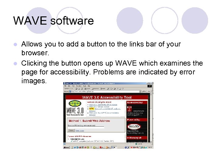 WAVE software Allows you to add a button to the links bar of your