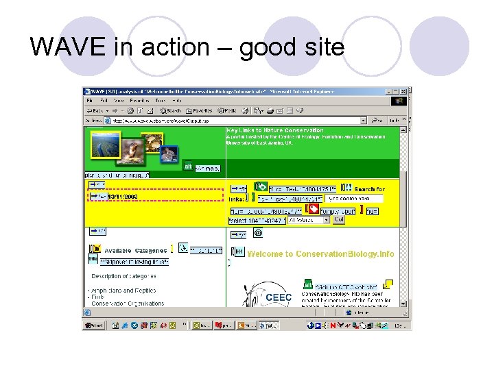 WAVE in action – good site 