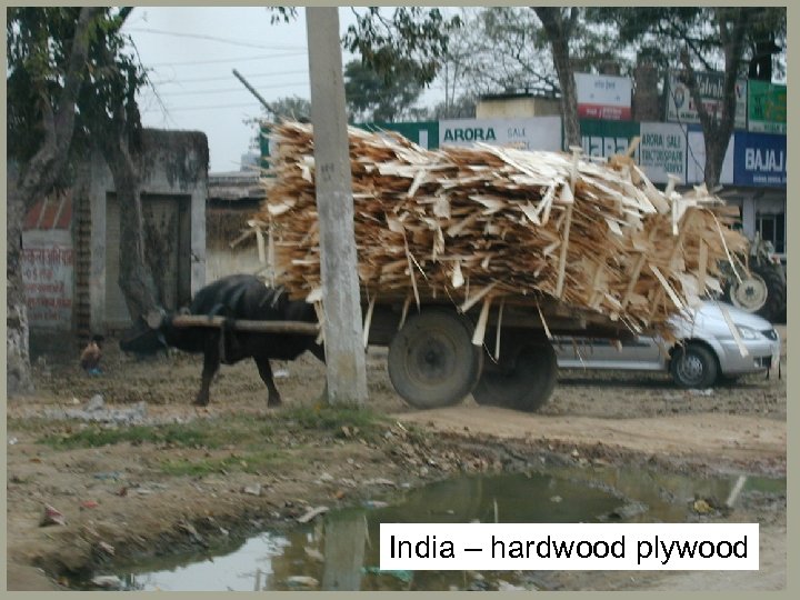 India – hardwood plywood 