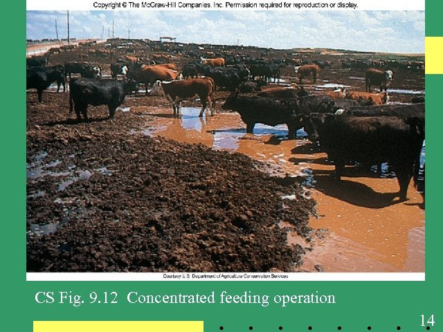 Figure 09_12 CS Fig. 9. 12 Concentrated feeding operation 14 