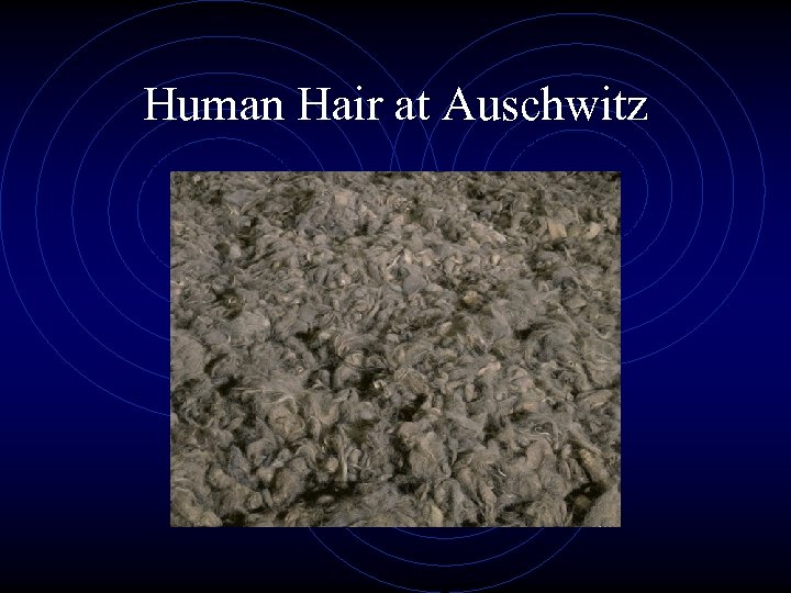 Human Hair at Auschwitz 