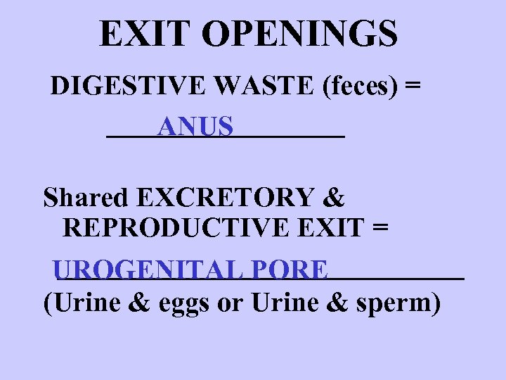 EXIT OPENINGS DIGESTIVE WASTE (feces) = _________ ANUS Shared EXCRETORY & REPRODUCTIVE EXIT =