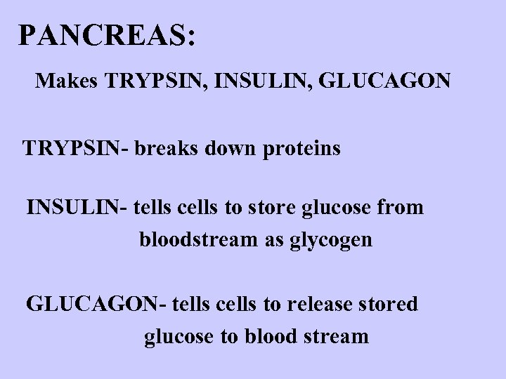 PANCREAS: Makes TRYPSIN, INSULIN, GLUCAGON TRYPSIN- breaks down proteins INSULIN- tells cells to store