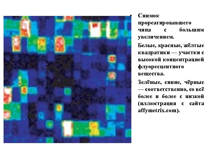  • Снимок прореагировавшего чипа с большим увеличением. • Белые, красные, жёлтые квадратики —