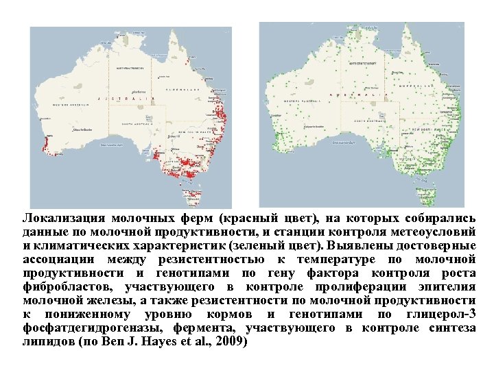 Локализация молочных ферм (красный цвет), на которых собирались данные по молочной продуктивности, и станции