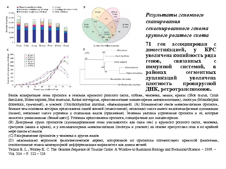 Результаты геномного сканирования секвенированного генома крупного рогатого скота 71 ген ассоциирован с доместикацией, у