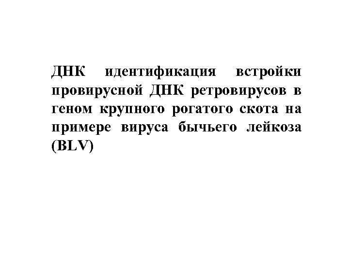 ДНК идентификация встройки провирусной ДНК ретровирусов в геном крупного рогатого скота на примере вируса