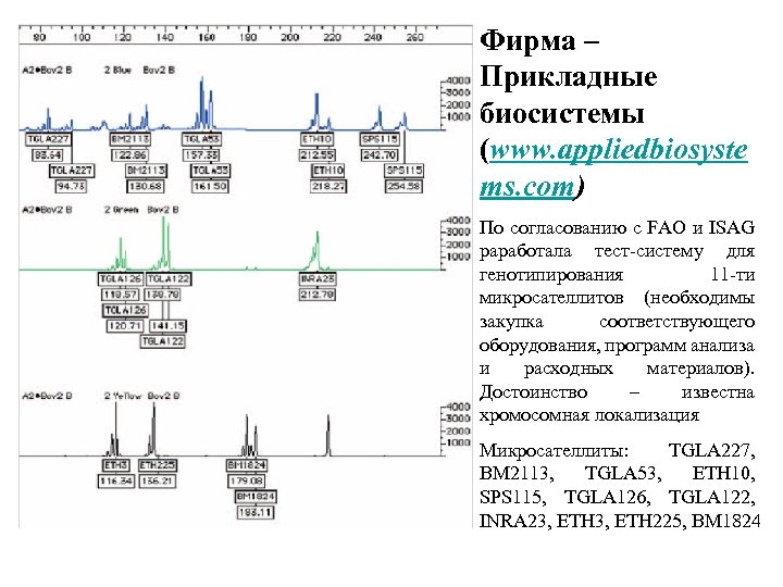 Фирма – Прикладные биосистемы (www. appliedbiosyste ms. com) По согласованию с FAO и ISAG