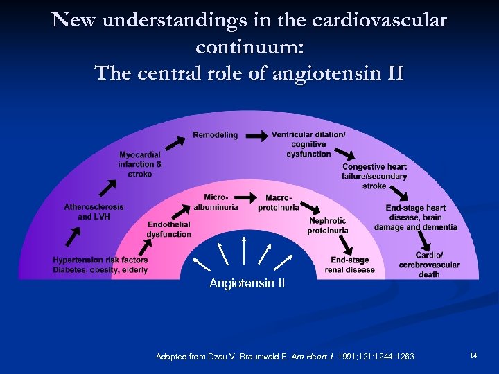 New understandings in the cardiovascular continuum: The central role of angiotensin II Adapted from