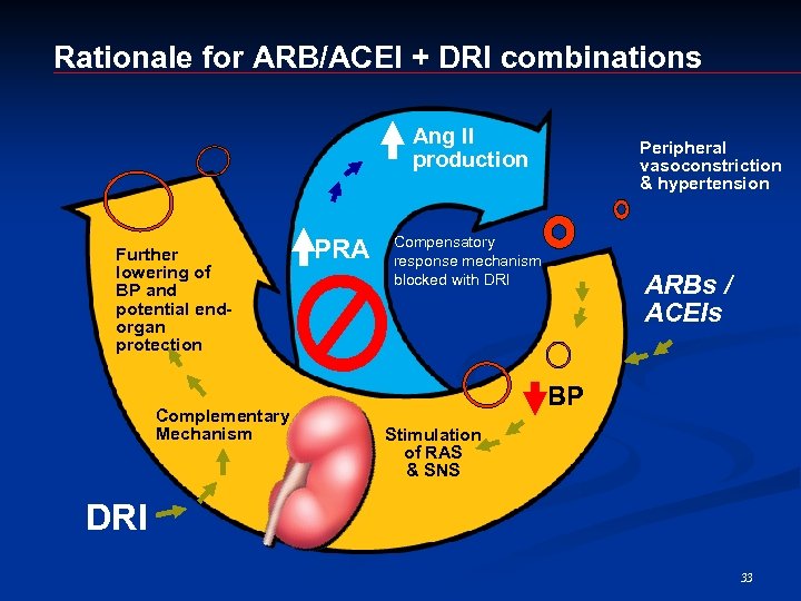 Rationale for ARB/ACEI + DRI combinations Ang II production Further lowering of BP and