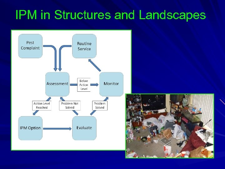 IPM in Structures and Landscapes 