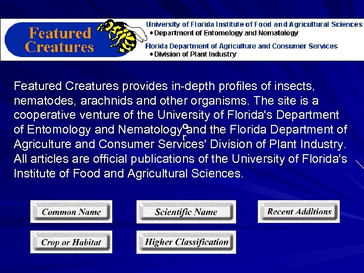 Featured Creatures provides in-depth profiles of insects, nematodes, arachnids and other organisms. The site