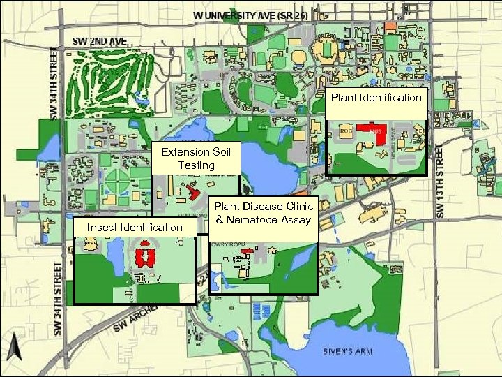 Plant Identification Extension Soil Testing Insect Identification Plant Disease Clinic & Nematode Assay 