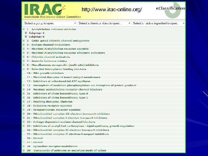 http: //www. irac-online. org/ 