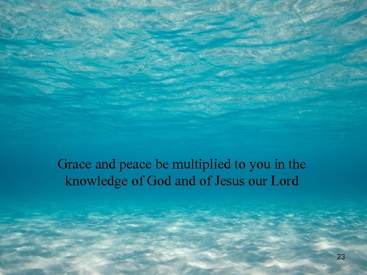 Grace and peace be multiplied to you in the knowledge of God and of