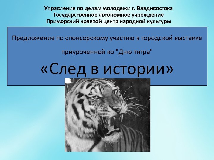 Управление по делам молодежи г. Владивостока Государственное автономное учреждение Приморский краевой центр народной культуры