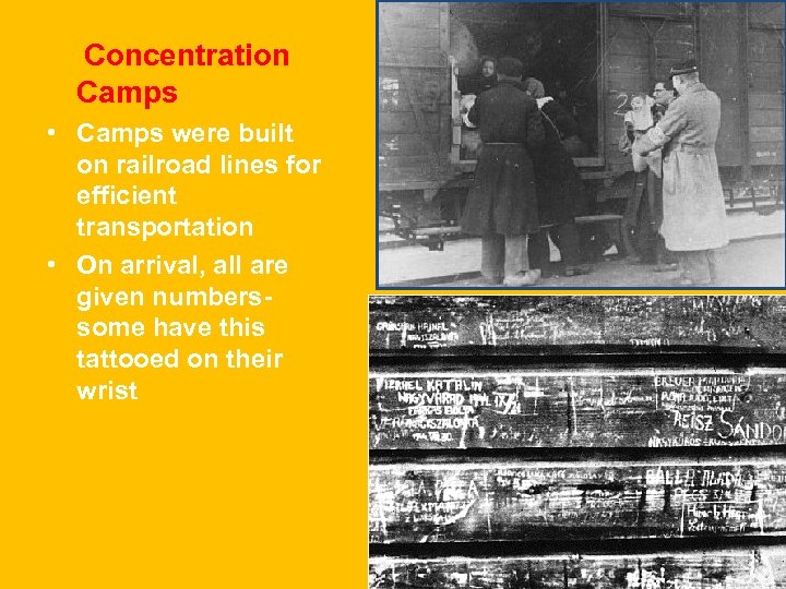 Concentration Camps • Camps were built on railroad lines for efficient transportation • On