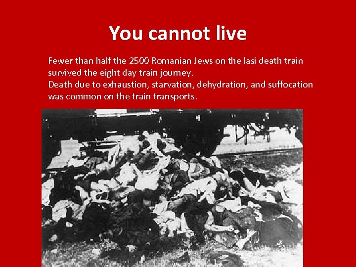 You cannot live Fewer than half the 2500 Romanian Jews on the lasi death