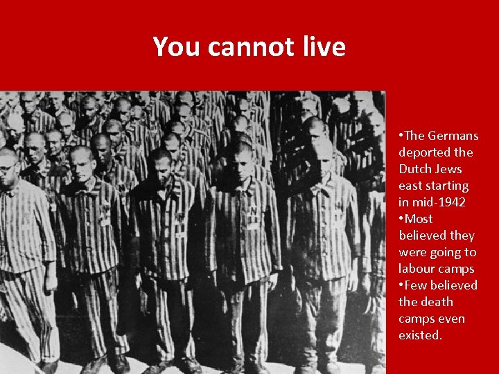 You cannot live • The Germans deported the Dutch Jews east starting in mid-1942