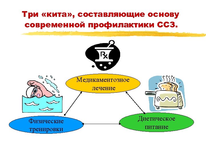 Три «кита» , составляющие основу современной профилактики ССЗ. Медикаментозное лечение Физические тренировки Диетическое питание