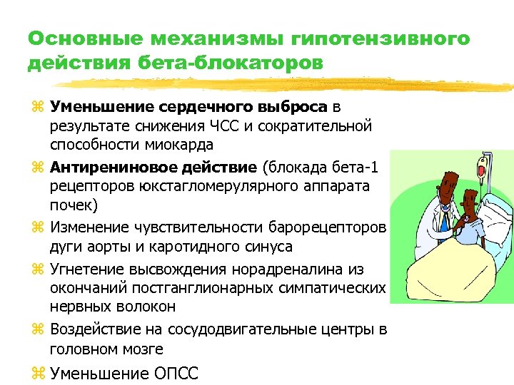 Основные механизмы гипотензивного действия бета-блокаторов z Уменьшение сердечного выброса в результате снижения ЧСС и