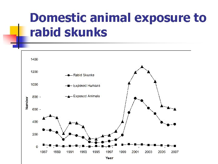 Domestic animal exposure to rabid skunks 