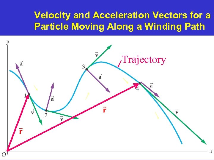 Velocity and Acceleration Vectors for a Particle Moving Along a Winding Path Trajectory 