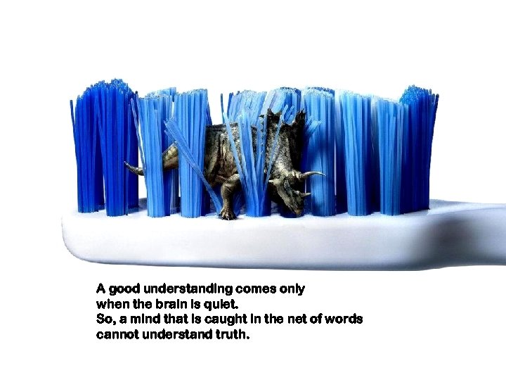 A good understanding comes only when the brain is quiet. So, a mind that