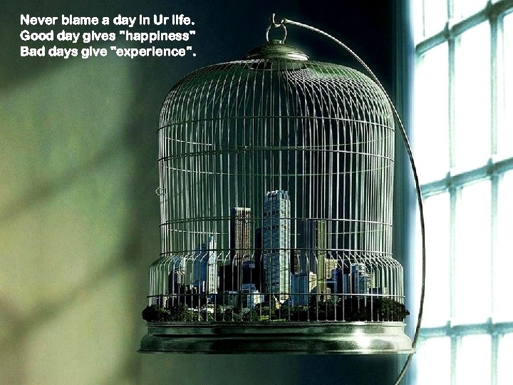 Never blame a day in Ur life. Good day gives 