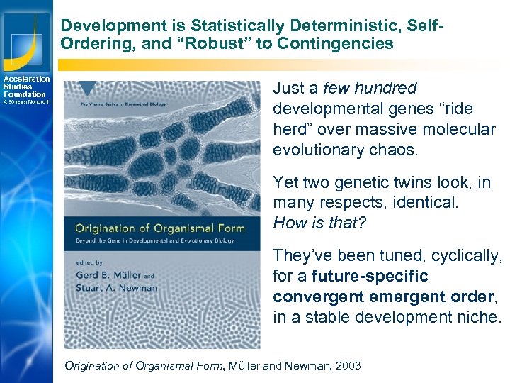 Development is Statistically Deterministic, Self. Ordering, and “Robust” to Contingencies Acceleration Studies Foundation A