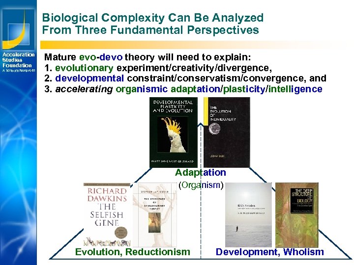 Biological Complexity Can Be Analyzed From Three Fundamental Perspectives Acceleration Studies Foundation A 501(c)(3)