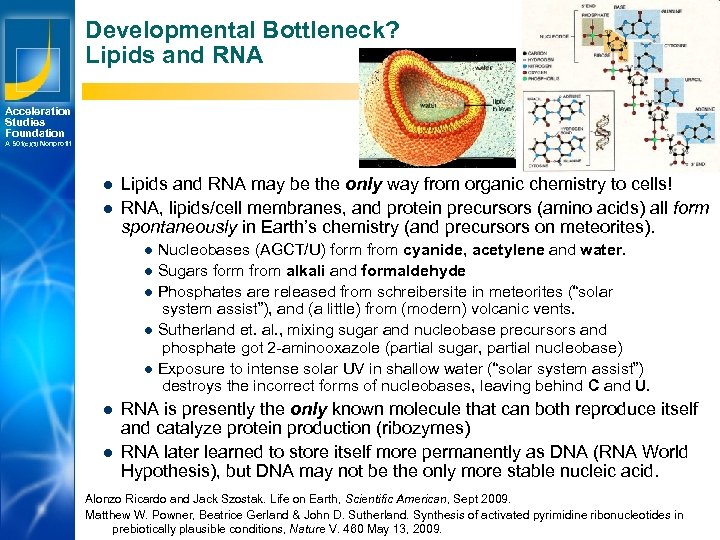 Developmental Bottleneck? Lipids and RNA Acceleration Studies Foundation A 501(c)(3) Nonprofit l l Lipids
