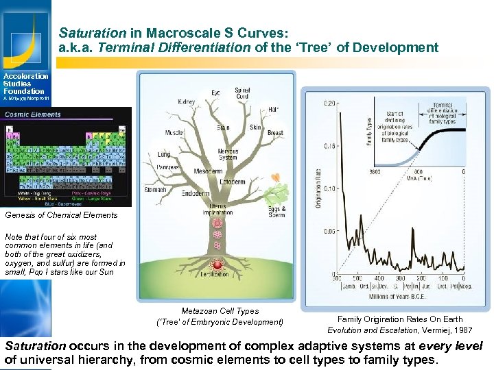 Saturation in Macroscale S Curves: a. k. a. Terminal Differentiation of the ‘Tree’ of