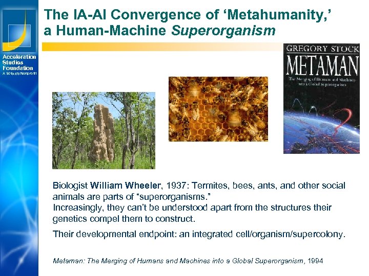 The IA-AI Convergence of ‘Metahumanity, ’ a Human-Machine Superorganism Acceleration Studies Foundation A 501(c)(3)