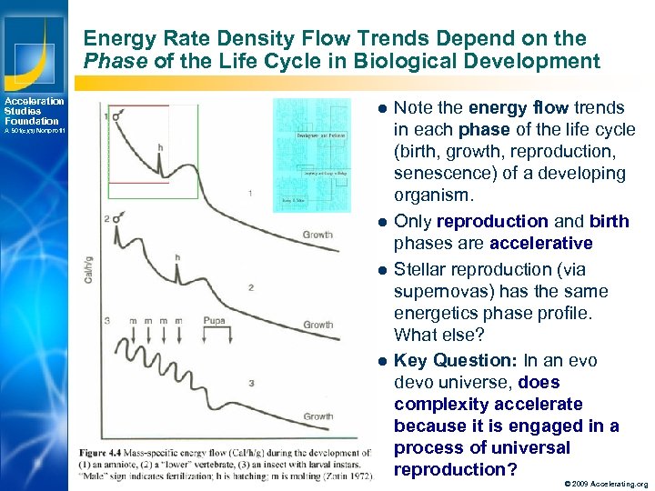 Energy Rate Density Flow Trends Depend on the Phase of the Life Cycle in