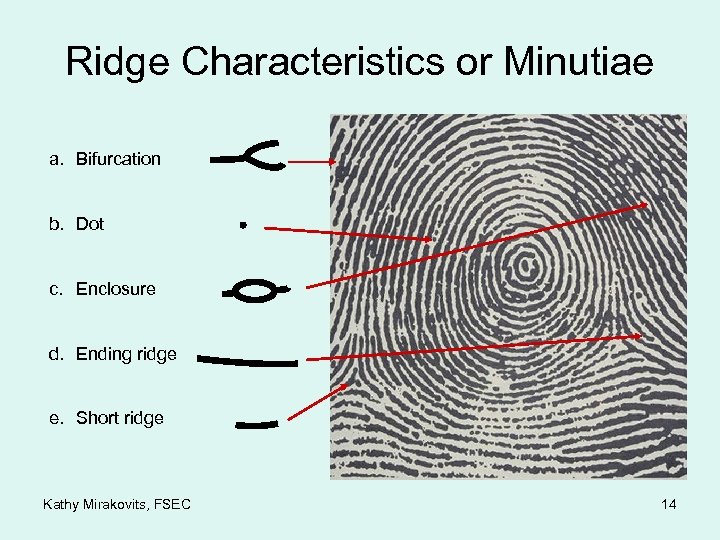 Ridge Characteristics or Minutiae a. Bifurcation b. Dot c. Enclosure d. Ending ridge e.