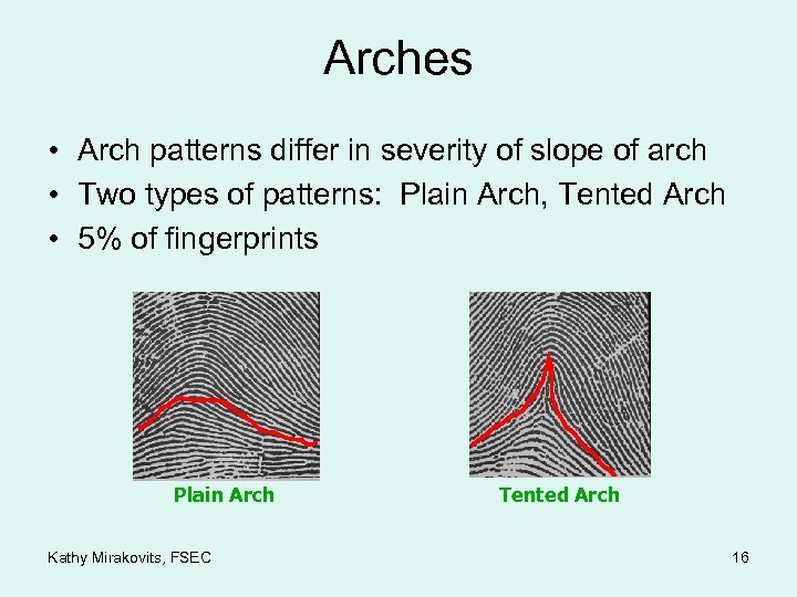 Arches • Arch patterns differ in severity of slope of arch • Two types