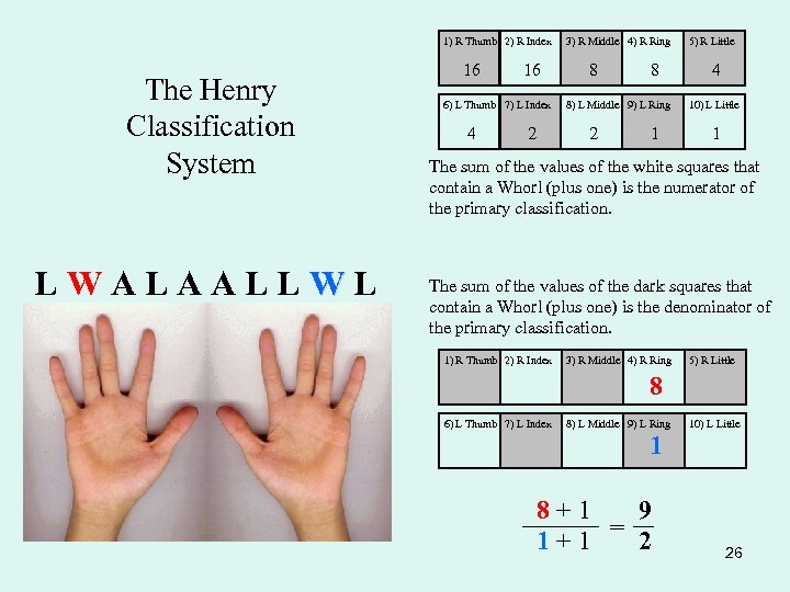 1) R Thumb 2) R Index The Henry Classification System LWALAALLWL 16 16 6)