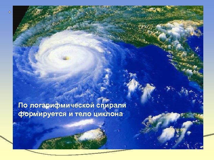 По логарифмической спирали формируется и тело циклона 